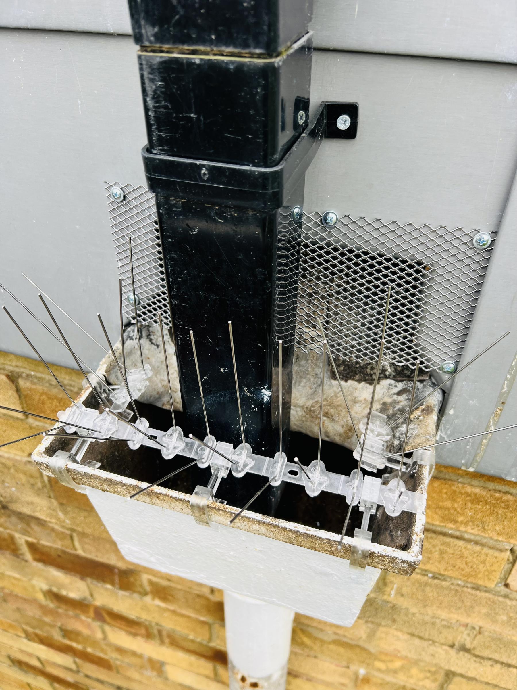 Birdp Proofing Hopper Finchley