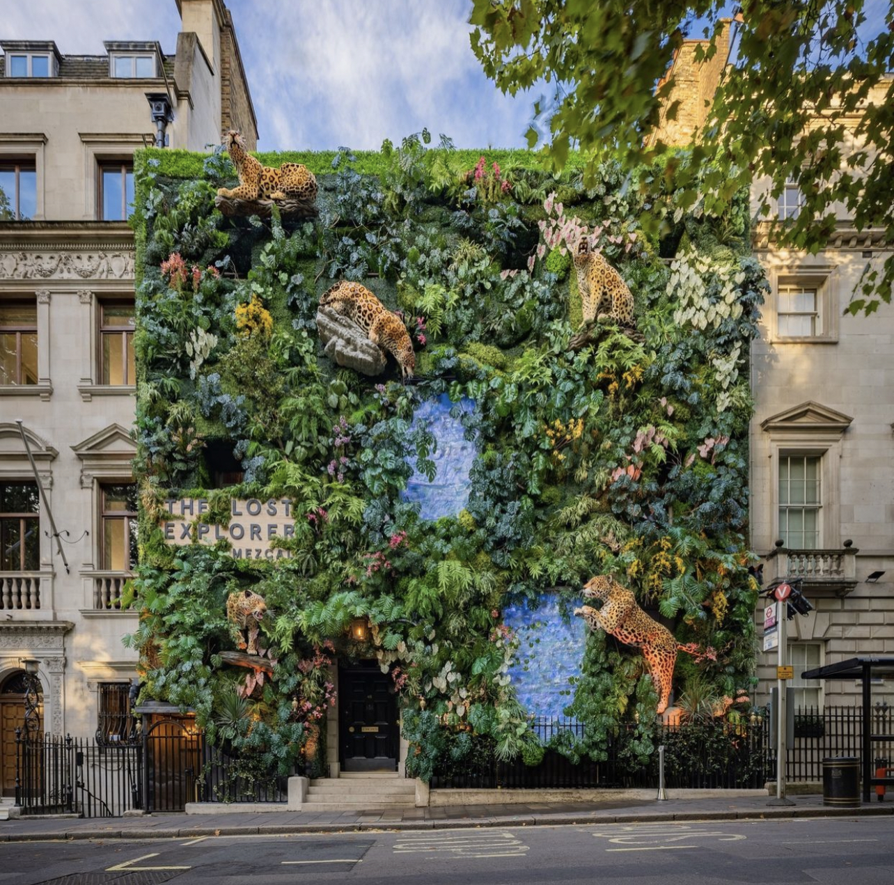 Jungle Party Facade Jungle Party Facade