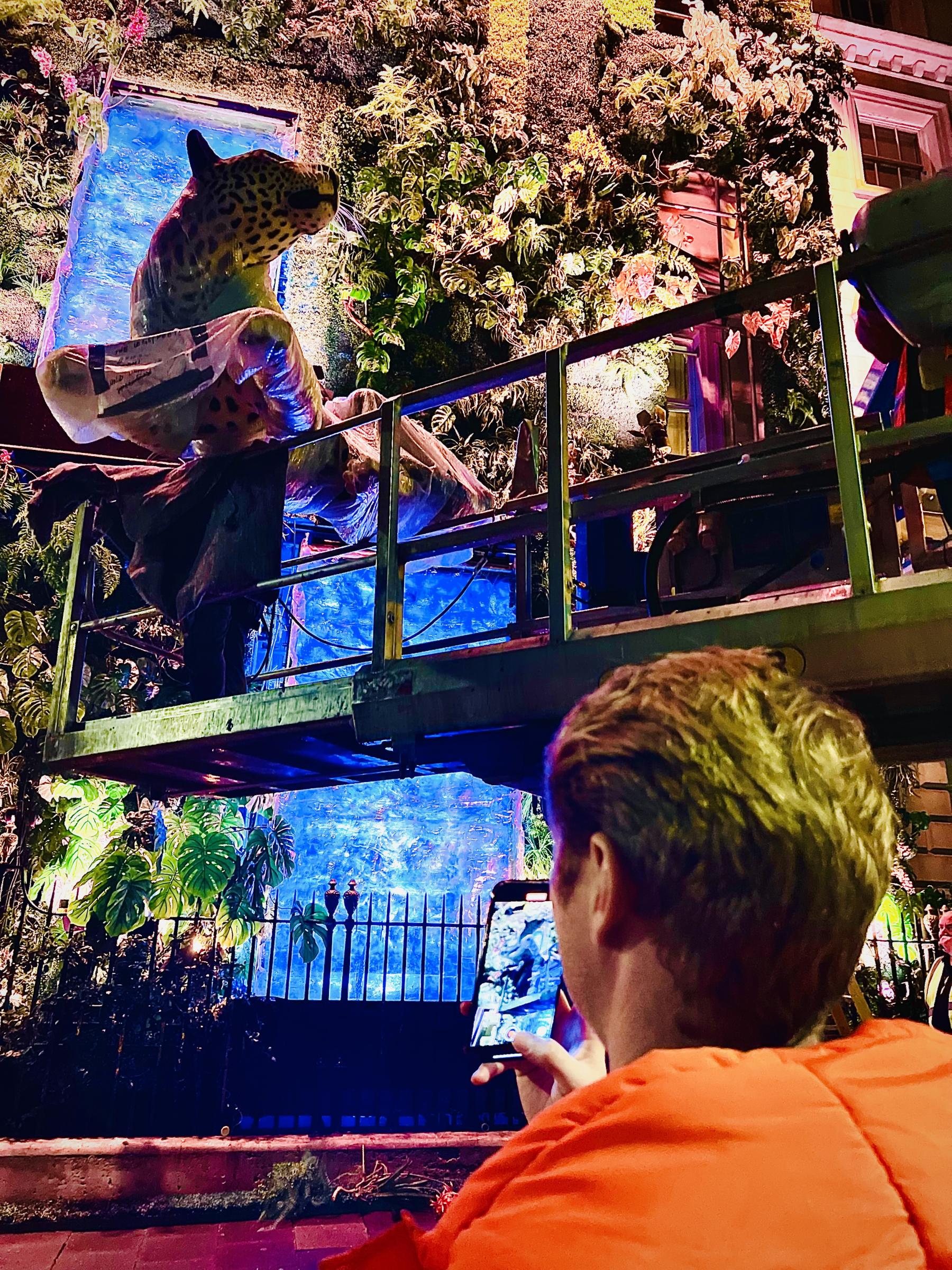 Leopard going up Jungle Party Facade