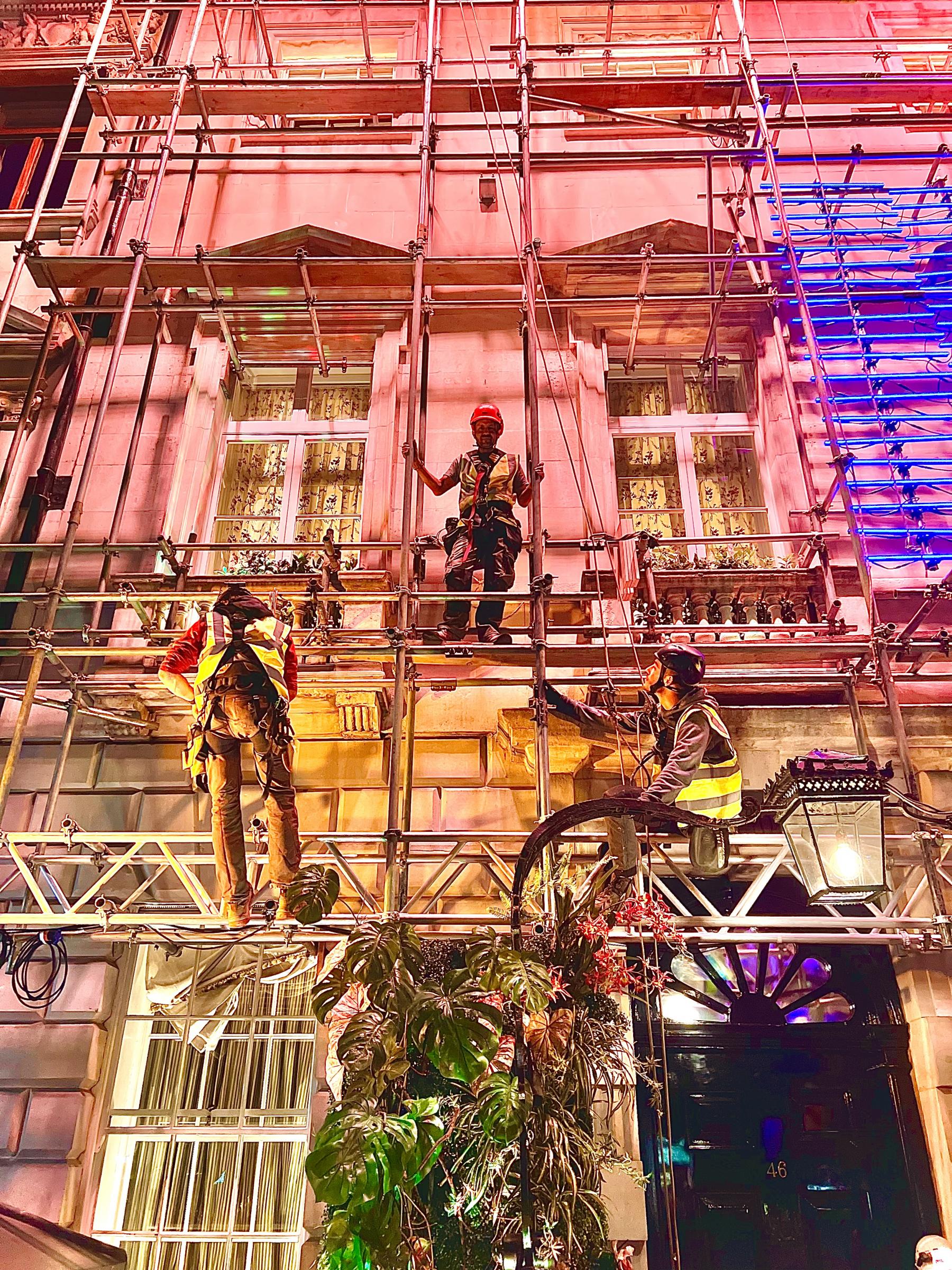 Scaffold up Jungle Party Facade