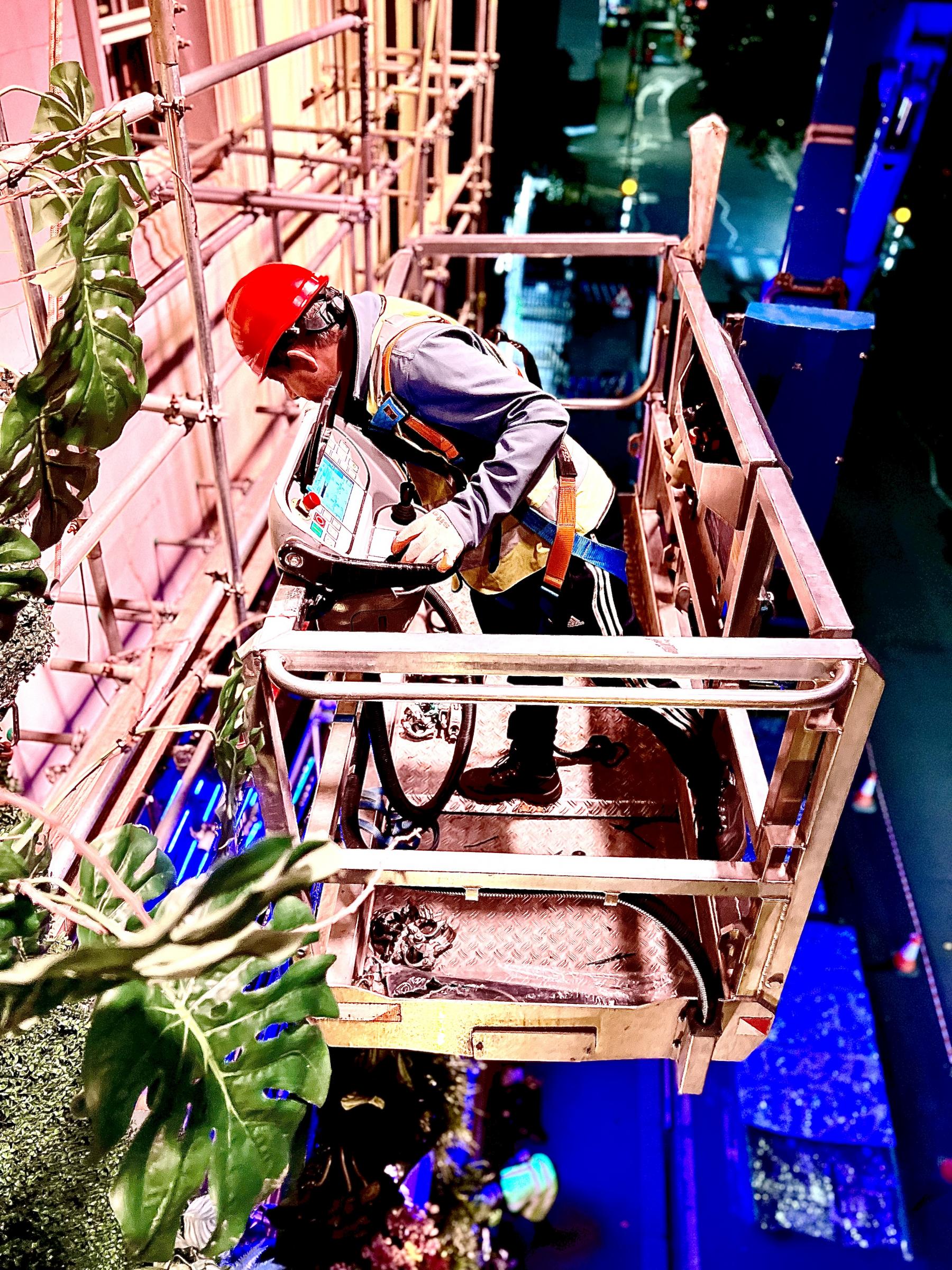 Operator - Jamie Jungle Party Facade