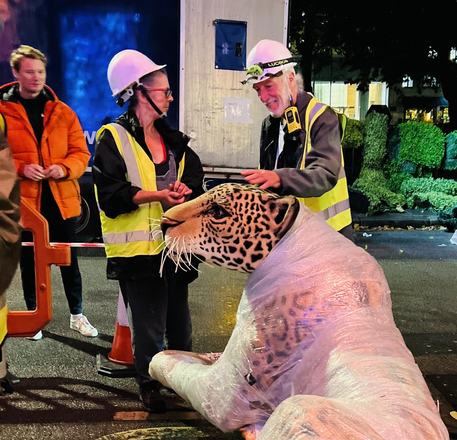 Leopards ready to be taken up Jungle Party Facade